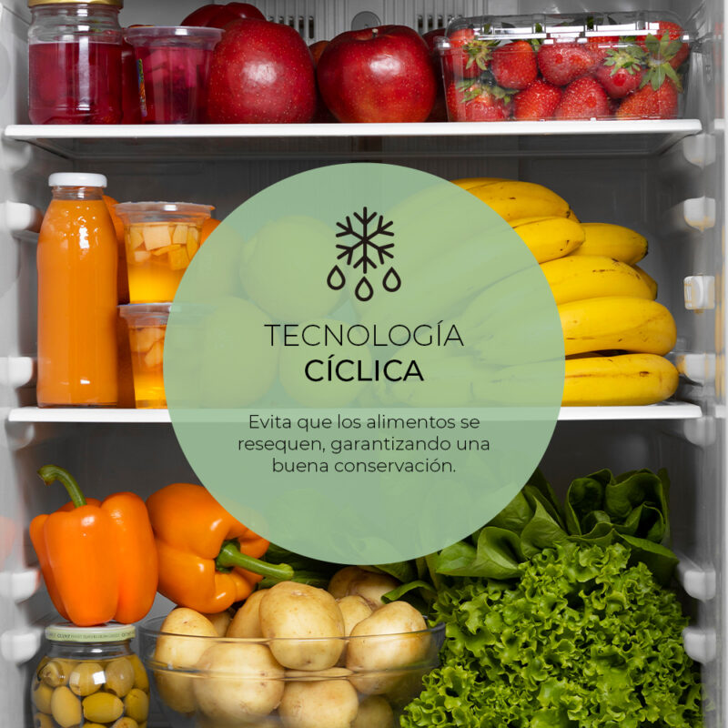 Frigorifico Combi Svan SC185502E Cíclico E 180cm 55cm 56cm Blanco - Imagen 4