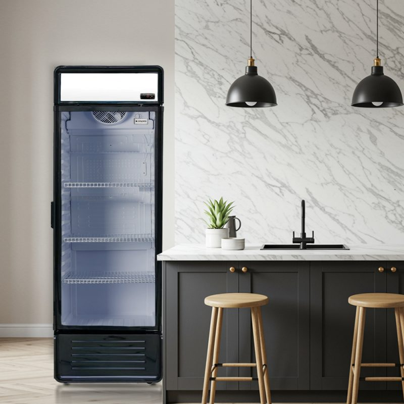 Refrigerador Horeca Aspes ARH185601D 295 L - Imagen 3
